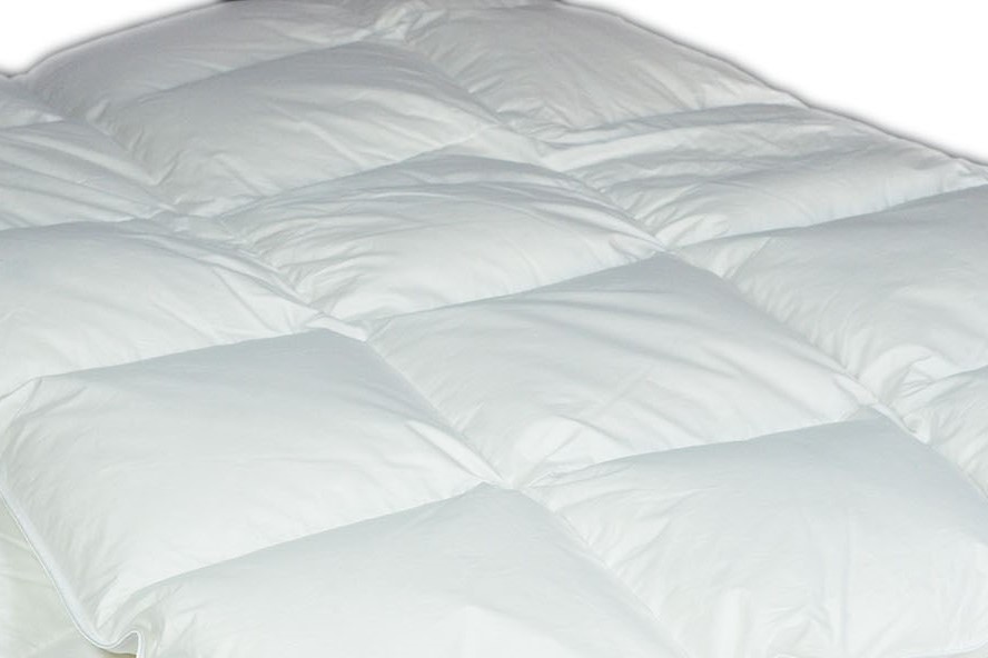 Feinste Eiderdauen - Decke