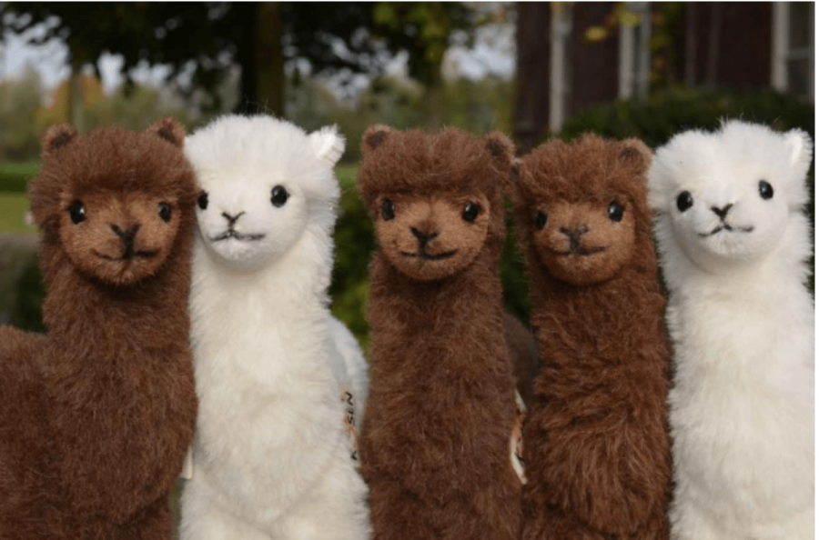 Kösener Alpaka Stofftier