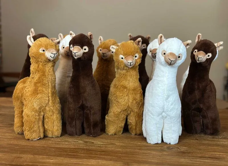 Alpaka Stofftier Delilah, Samba & Dacapo