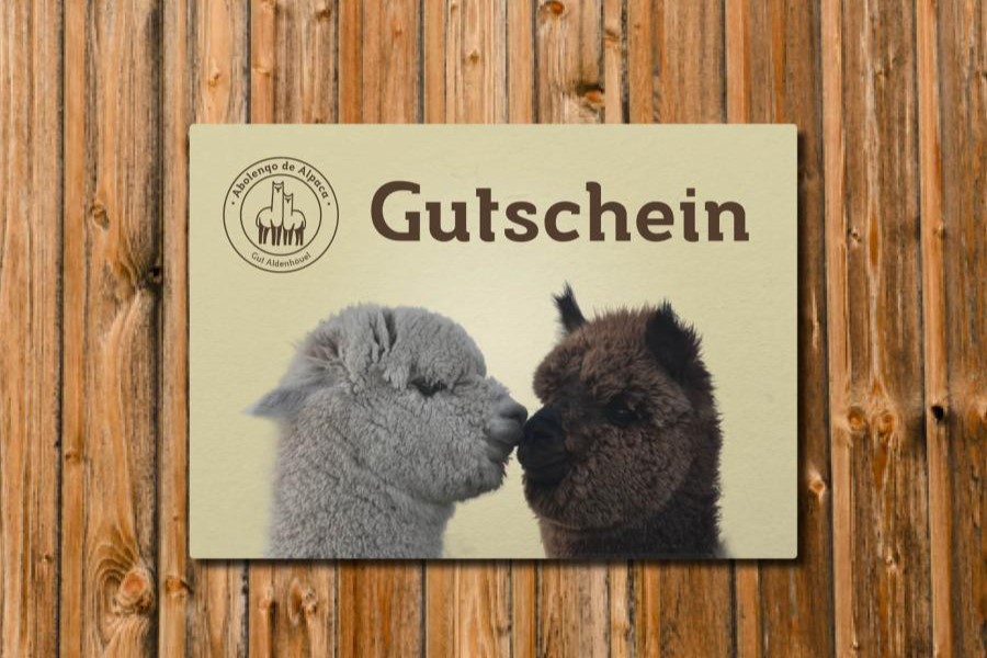 Schnupperkurs Gutschein